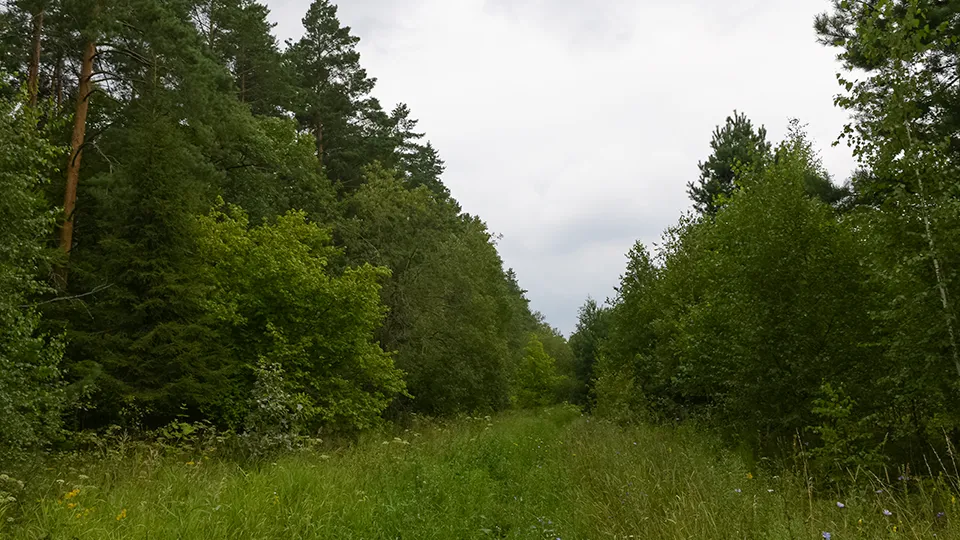 Фото: архив газеты «За новую жизнь»