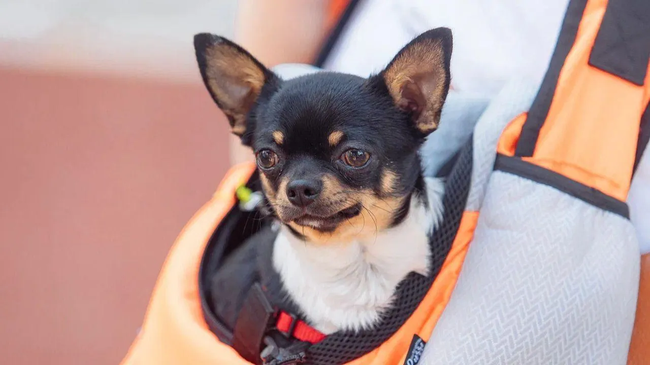 REGIONS/Наталья Надточая