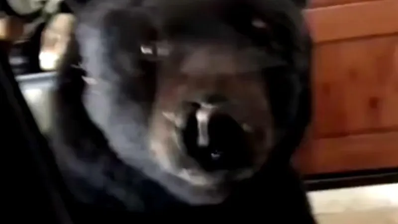 Скриншот видео Youtube