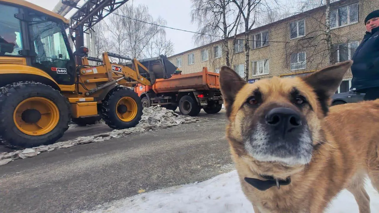 REGIONS/Наталья Надточая