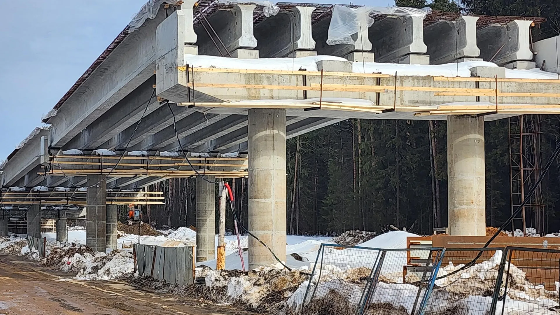 Фото: Светлана Борщева