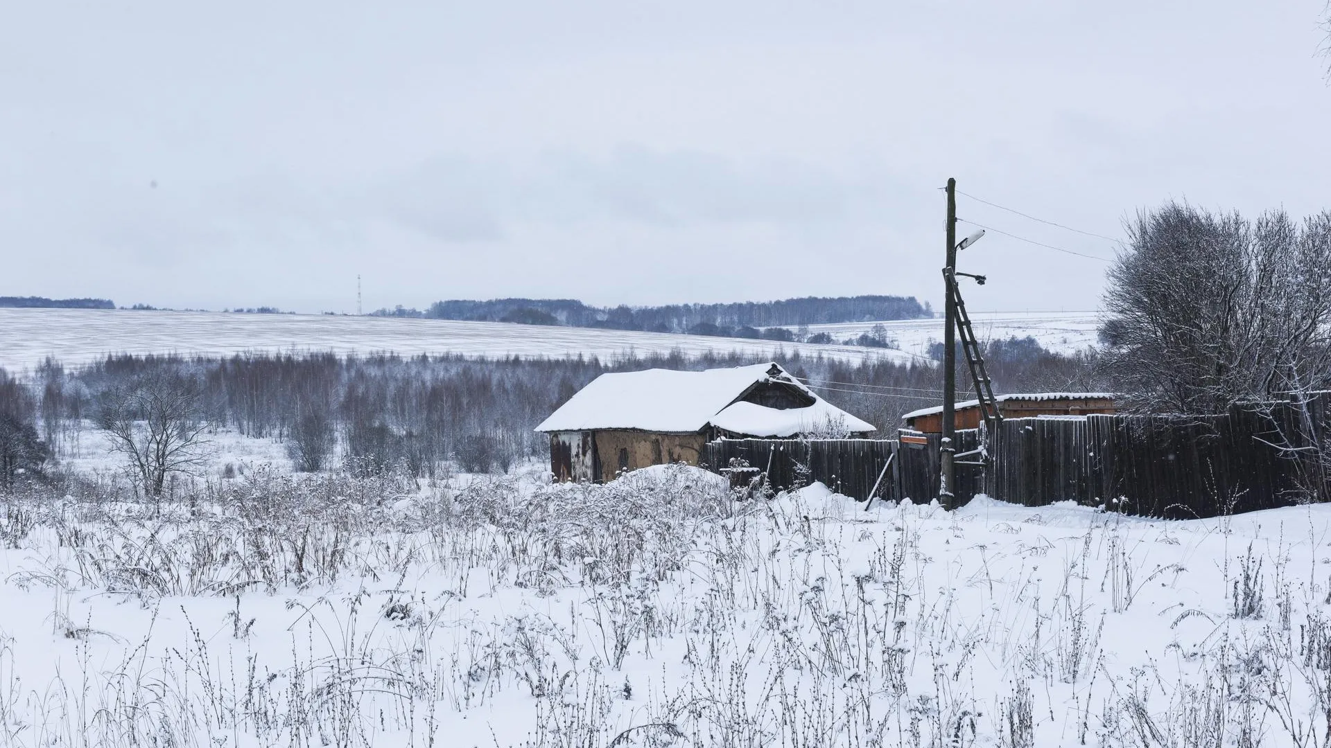 Фотобанк Московской области