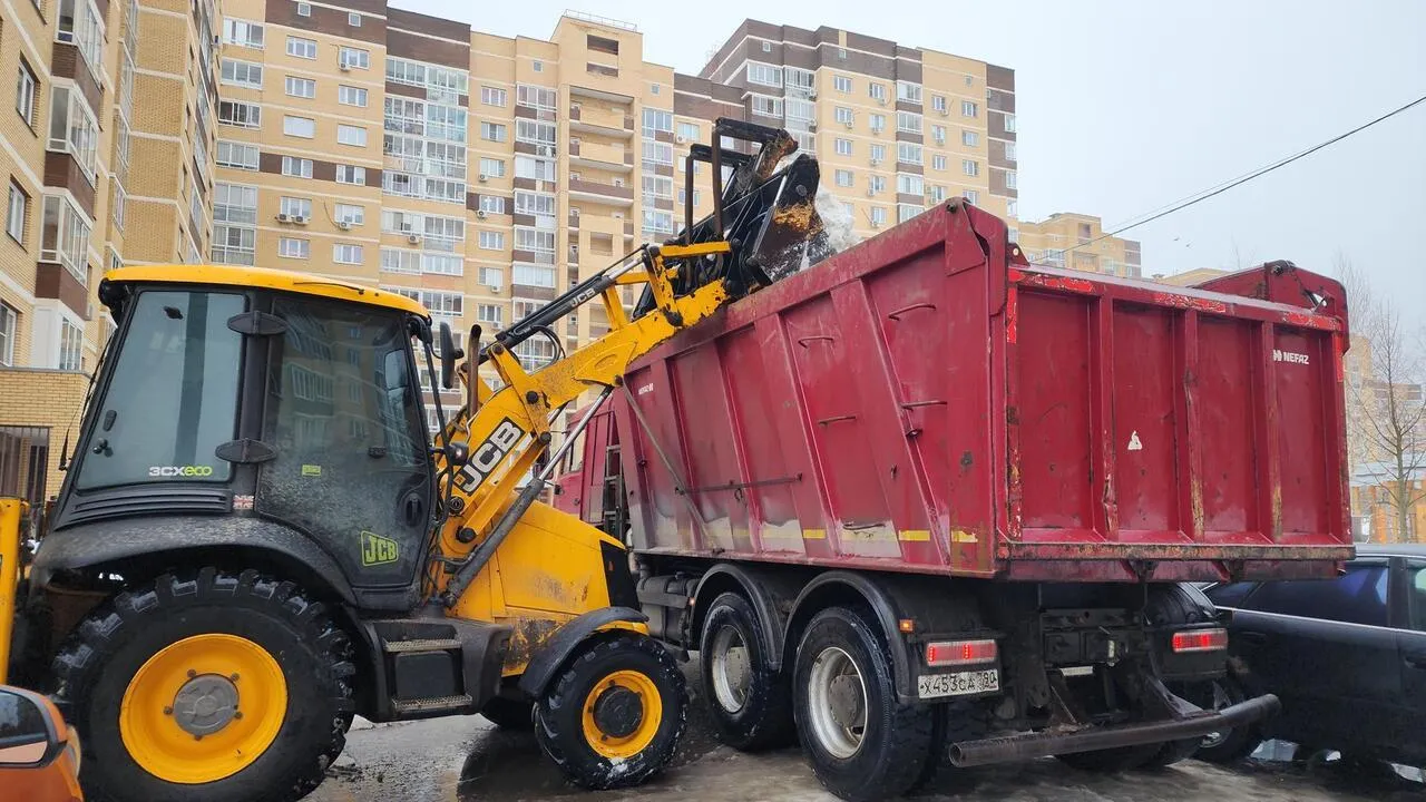 REGIONS/Валерия Тингаева