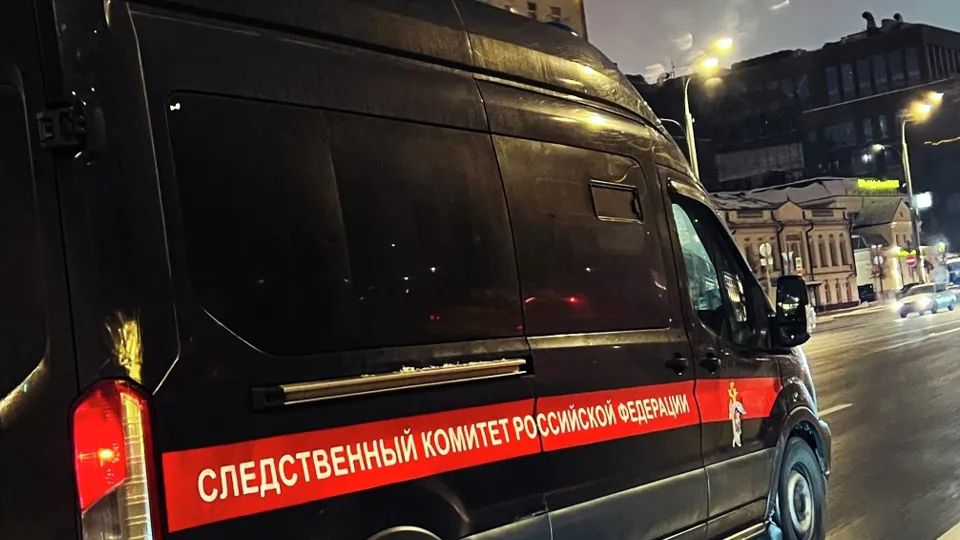 Фото: РИА Новости/Наталья Селиверстова