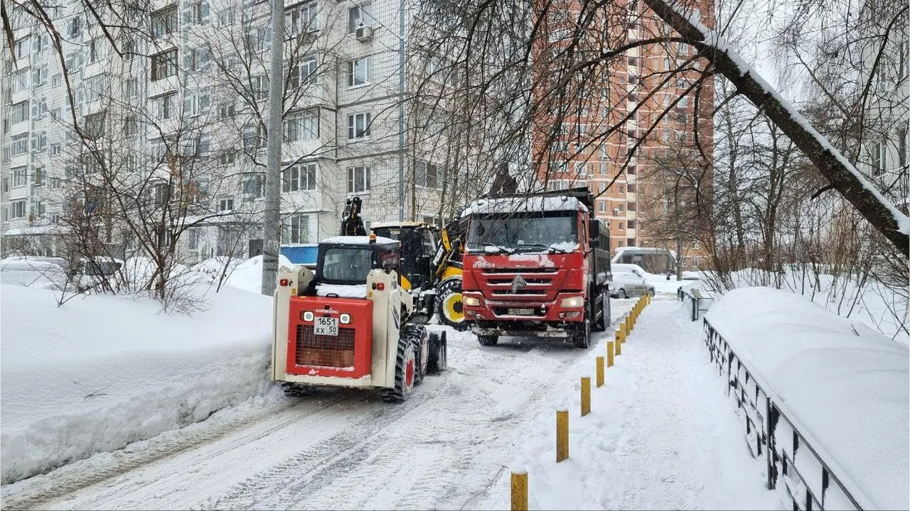 REGIONS/Юлия Алабина