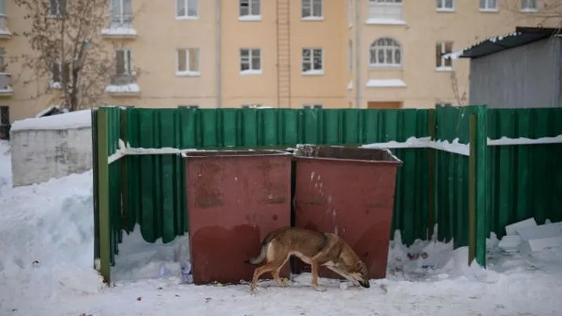 Александр Кряжев / РИА Новости