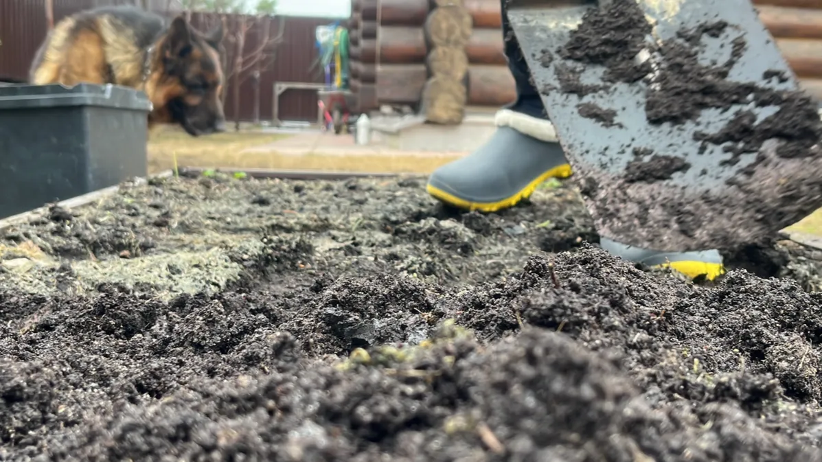 Фото: МедиаБанк Подмосковья/Елизавета Приймак