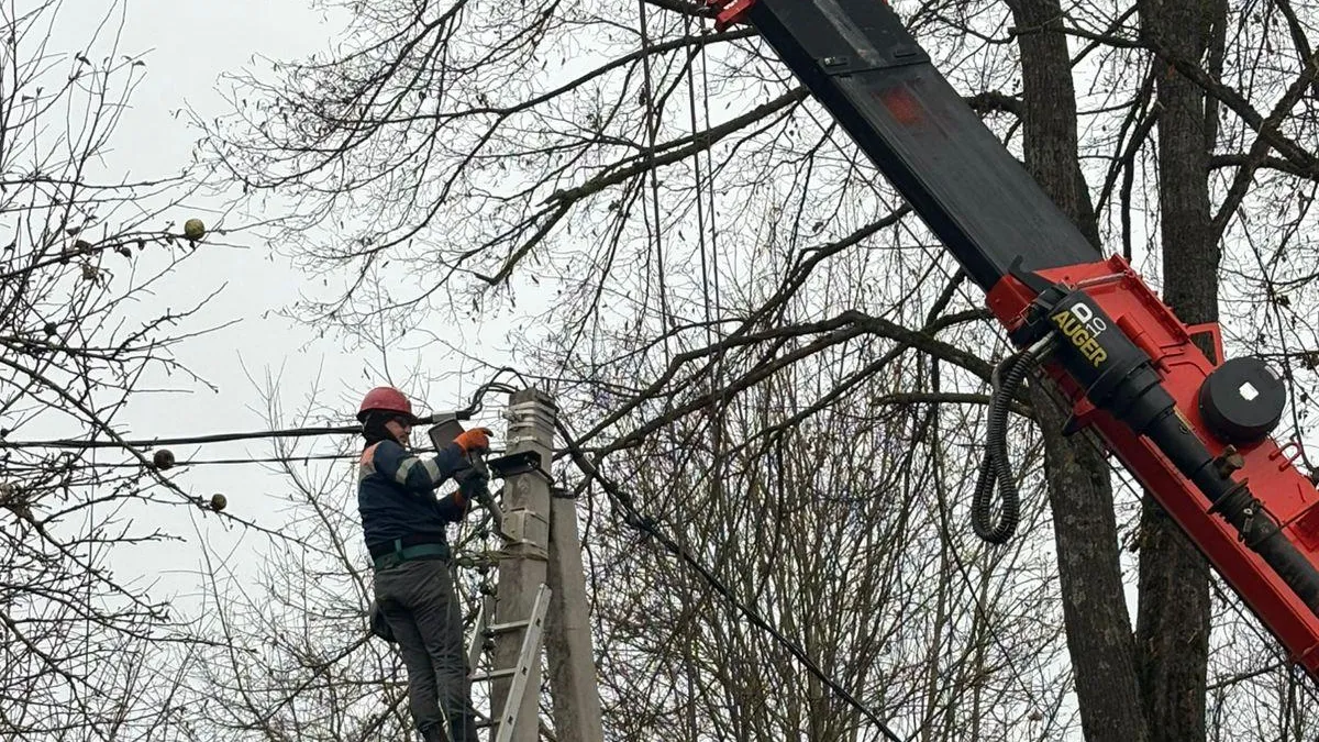 Фото: пресс-служба администрации Наро-Фоминского г.о.