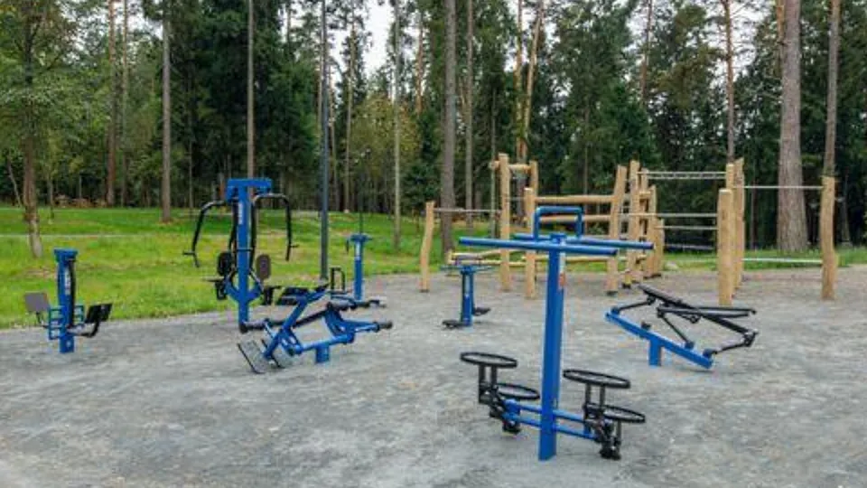 Фото: Медиаархив Подмосковья