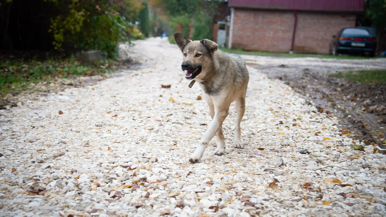 Фото: Нина Соколова