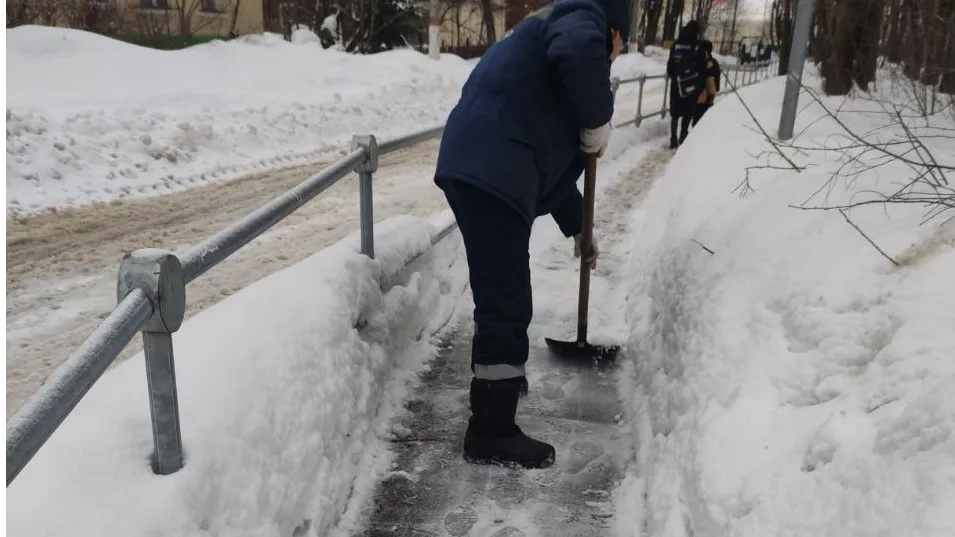 Фото: пресс-служба администрации г.о. Долгопрудный