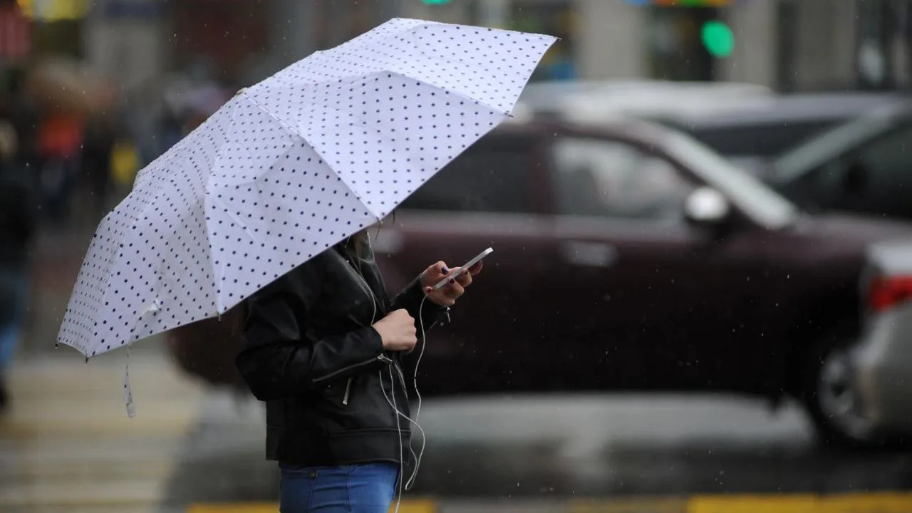 медиасток.рф