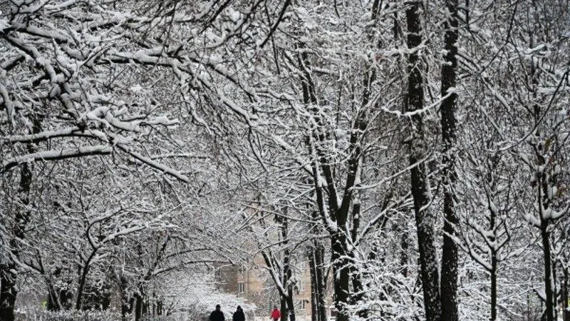 Жителей Подмосковья предупредили о мокром снеге и гололеде в пятницу