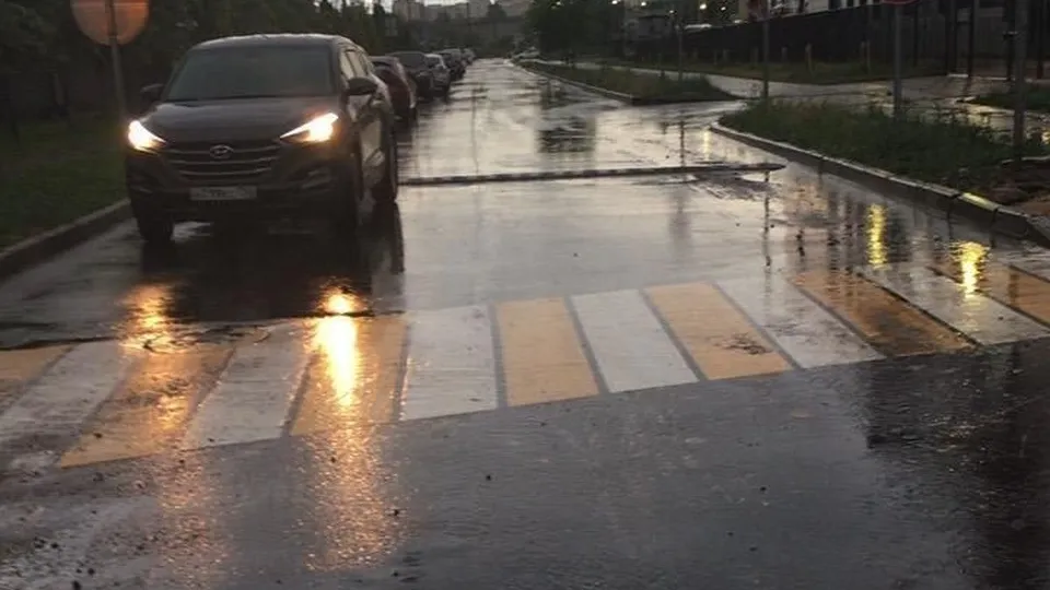 Фото: Минчистоты Московской области