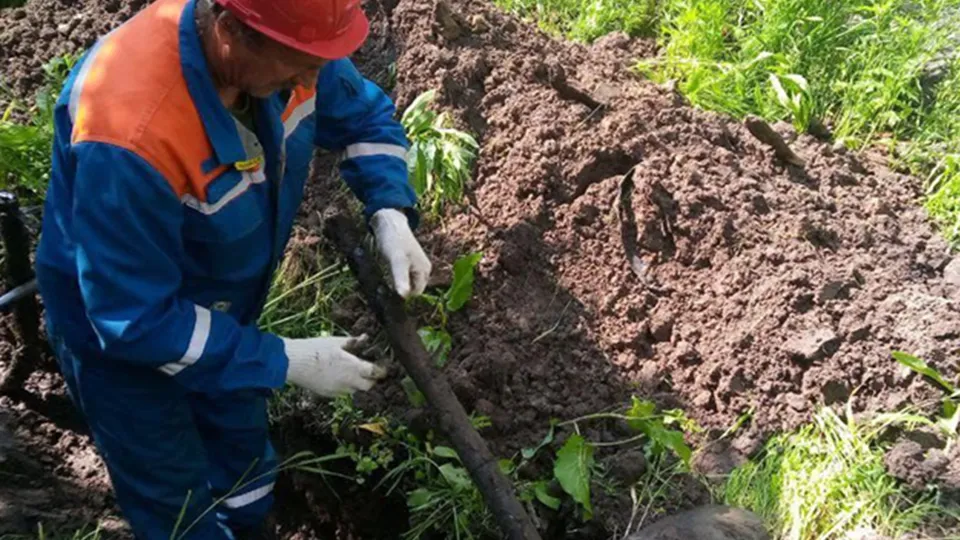 Фото: АО «Мособлэнерго»