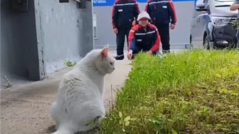 Фото: ПАО «Россети Московский регион»