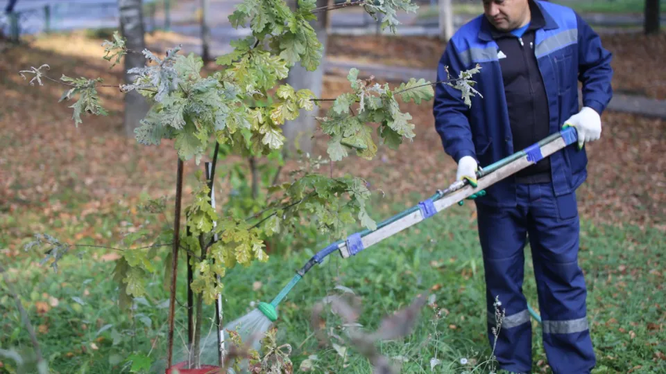 Фото: Наталья Мотина