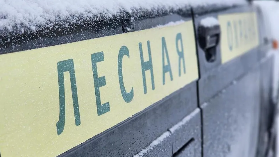 Фото: МедиаБанк Подмосковья/Анна Шолохова