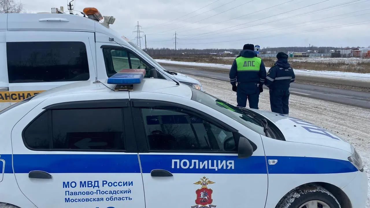 Источник: пресс-служба ГИБДД по Павлово-Посадскому городскому округу