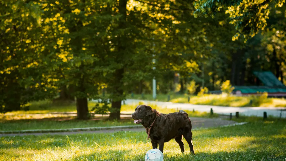 Фото: freepik.com