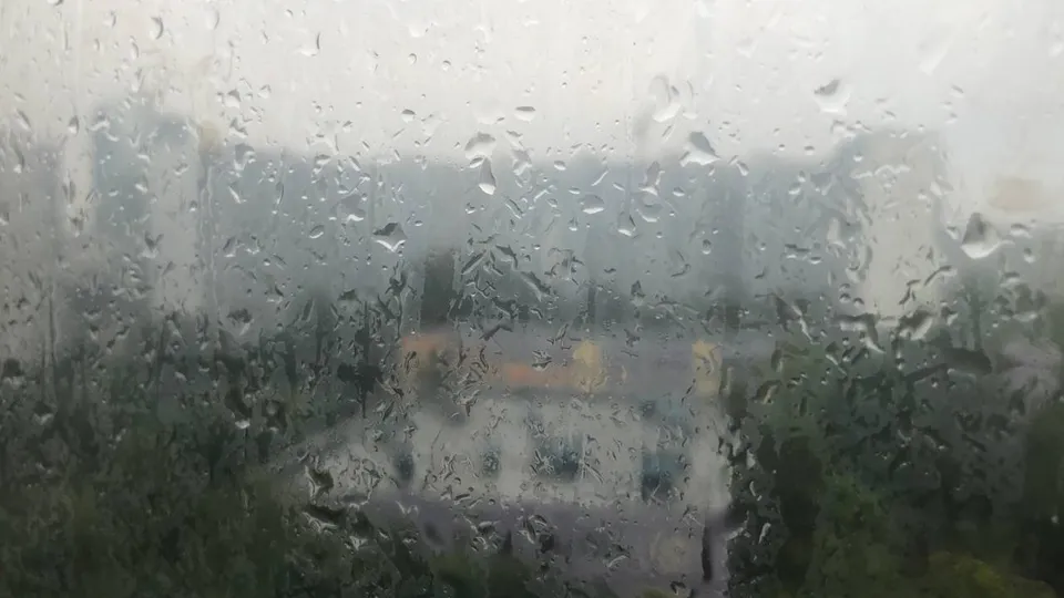 Фото: Дарья Назарова