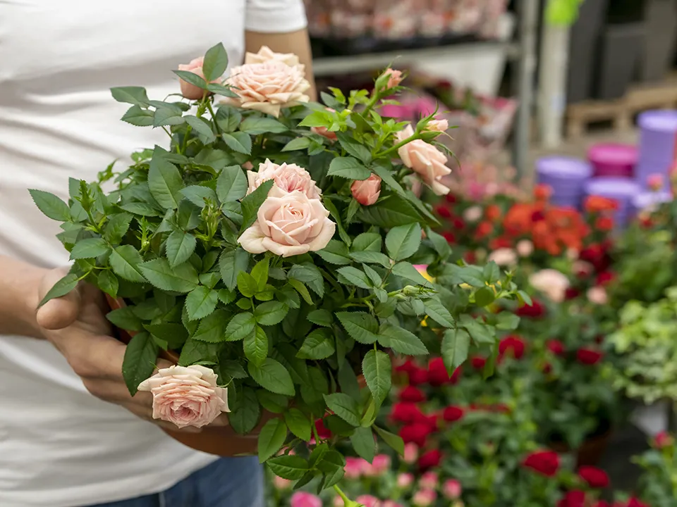 Фото: freepik.com