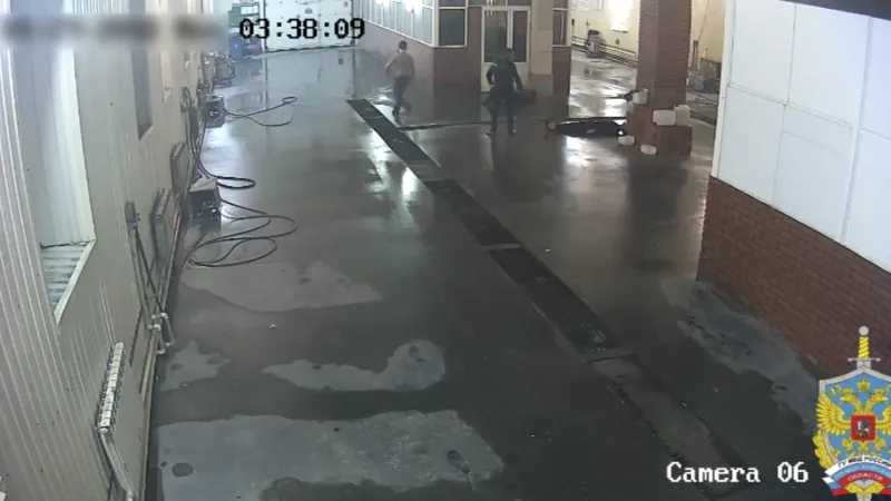 Уголовник насмерть забил сотрудника автомойки в Ступино