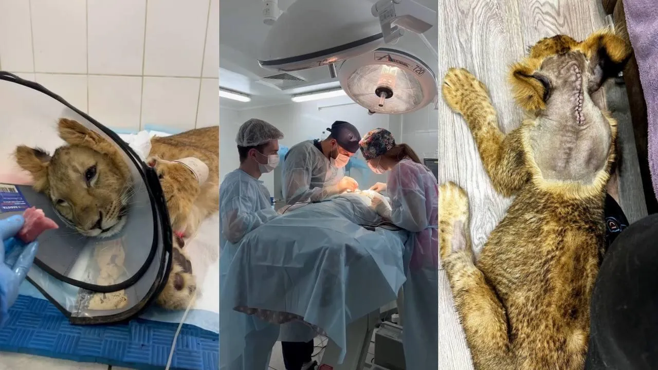 фото: соцсети