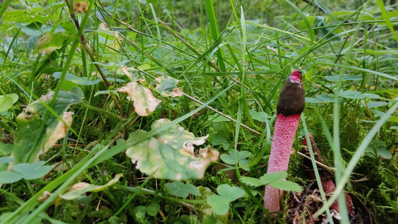 Фото: медиасток.рф