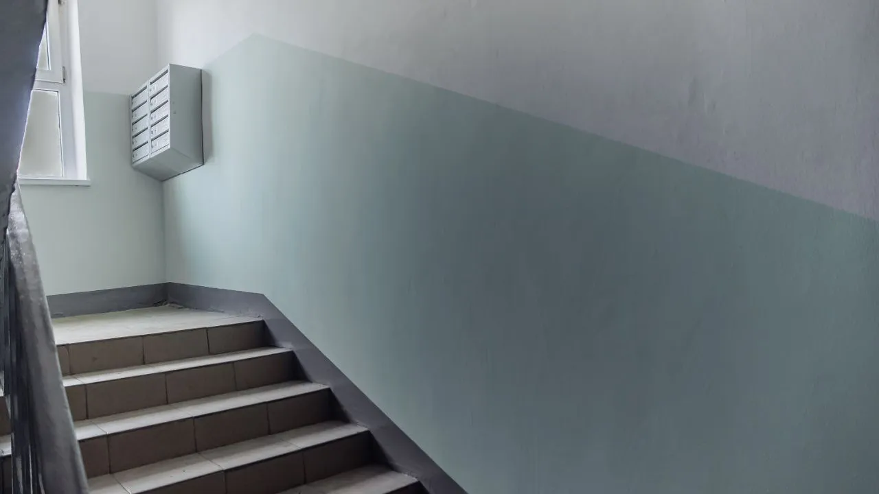 Фото: телевидение "Аист"