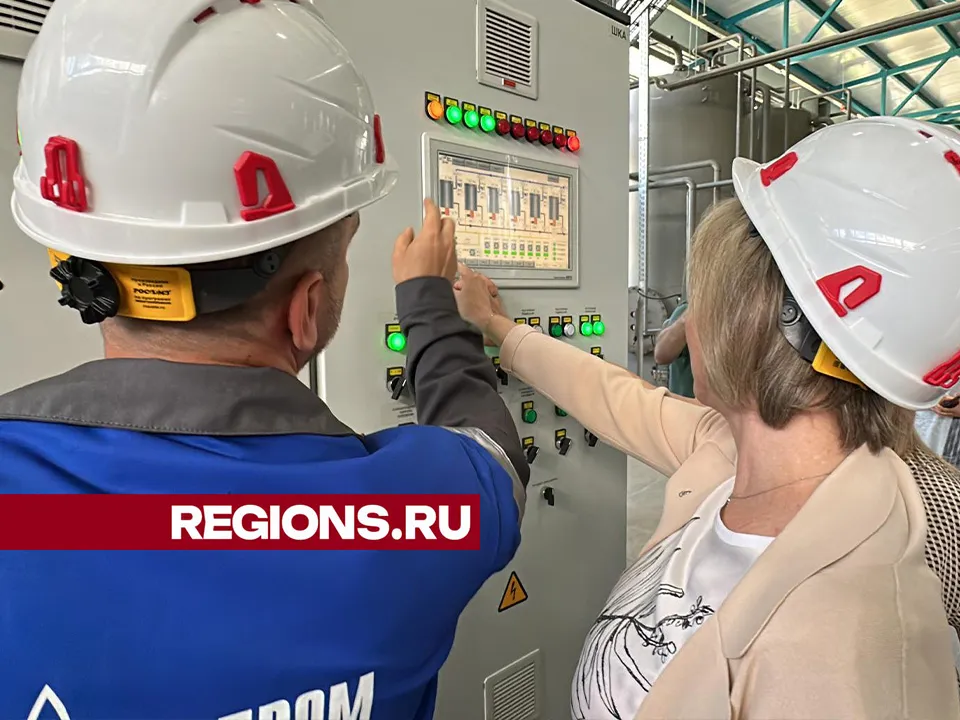 Фото: Данила Кирьянов&nbsp;