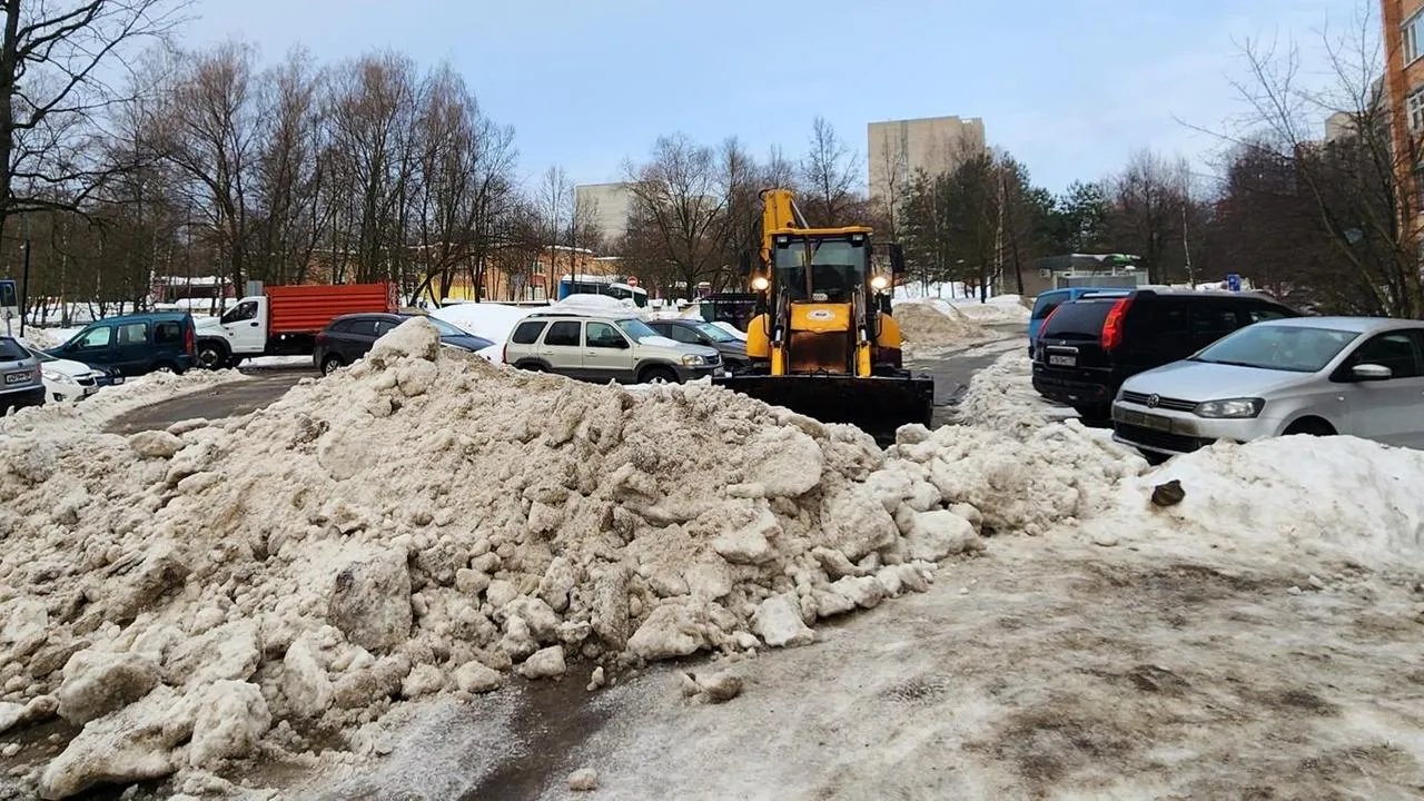 REGIONS/Анна Мороз