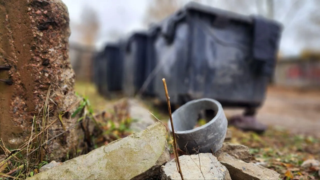 Рой Евгений Александрович