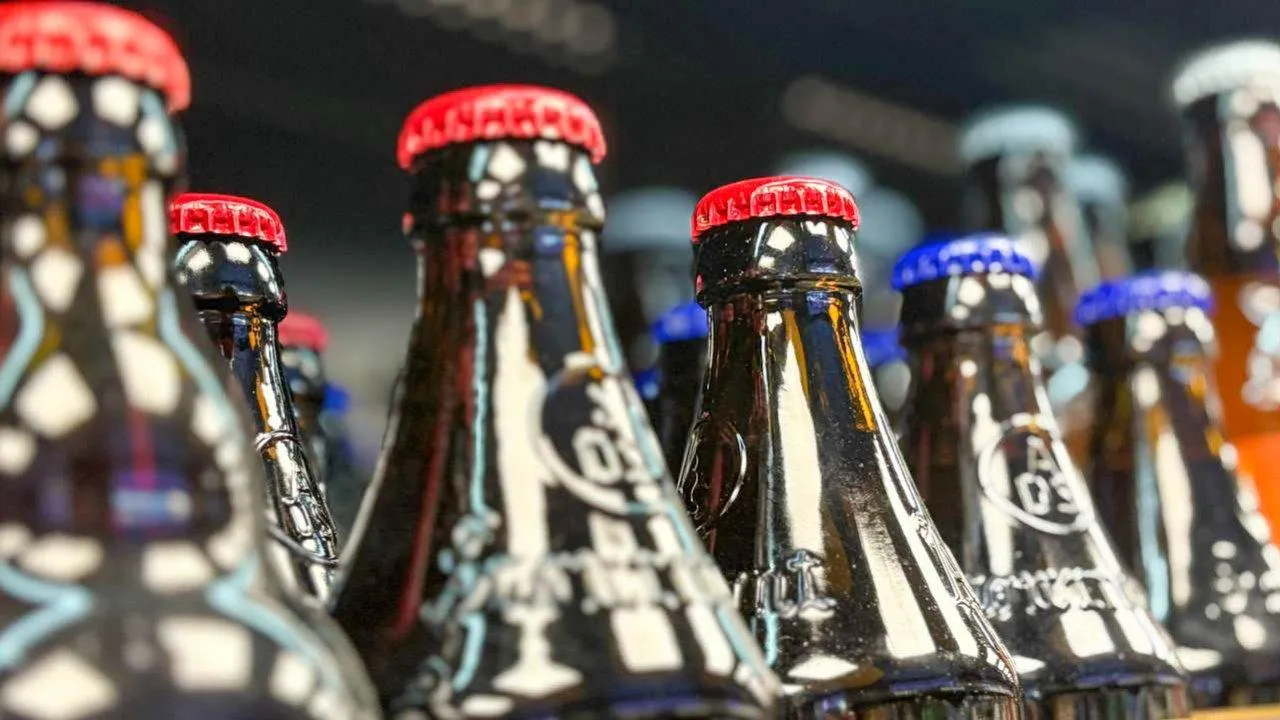 REGIONS/Полина Крачун