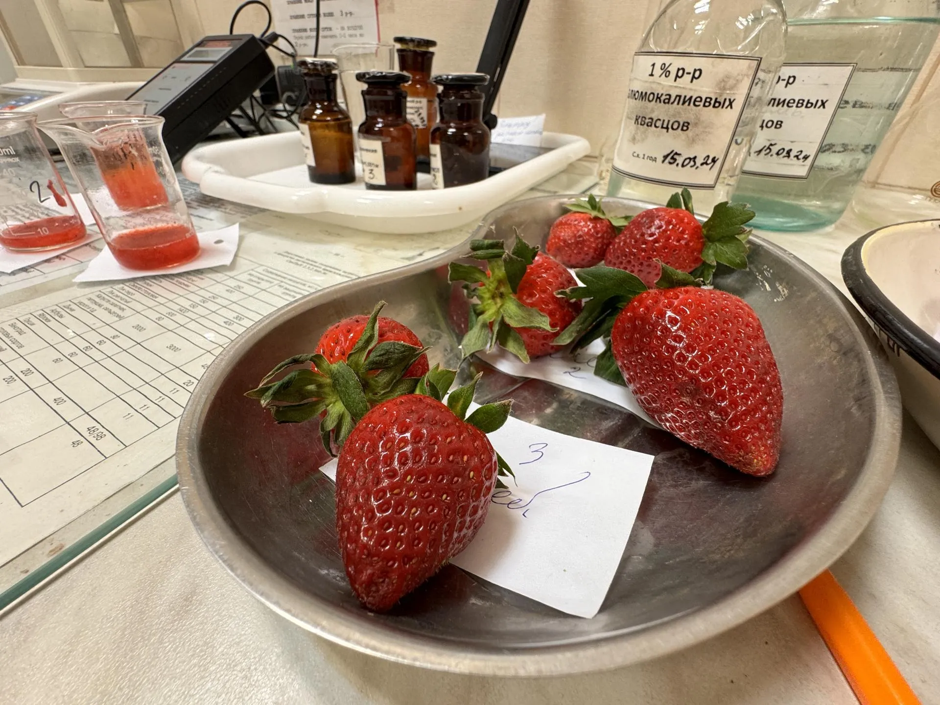 Фото: Мария Шматкова