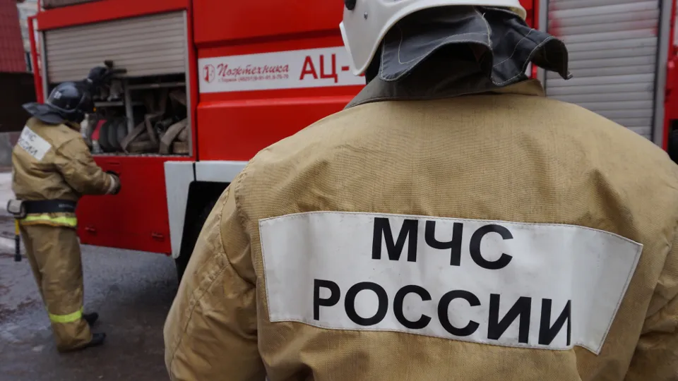 Фото: Медиаархив Подмосковья