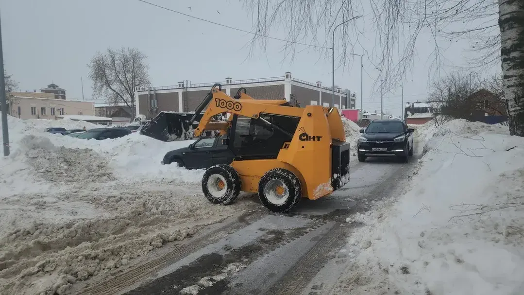 Алена Притула