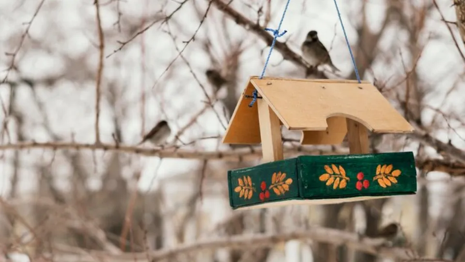 Фото: freepik.com