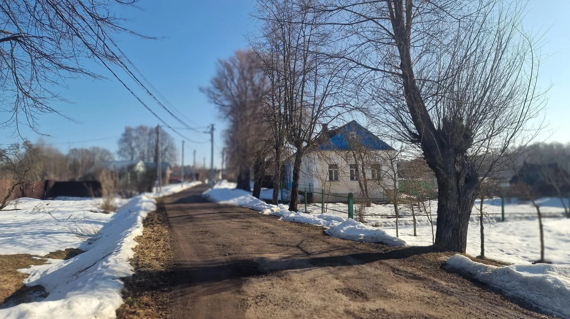 REGIONS/Ольга Шаронова