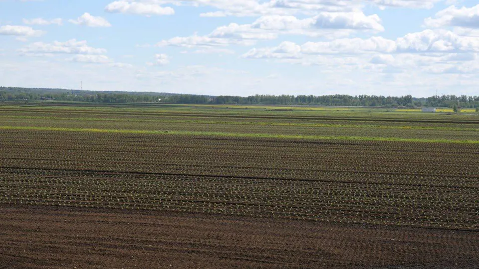 Фото: t.me/ivan_kurdanin