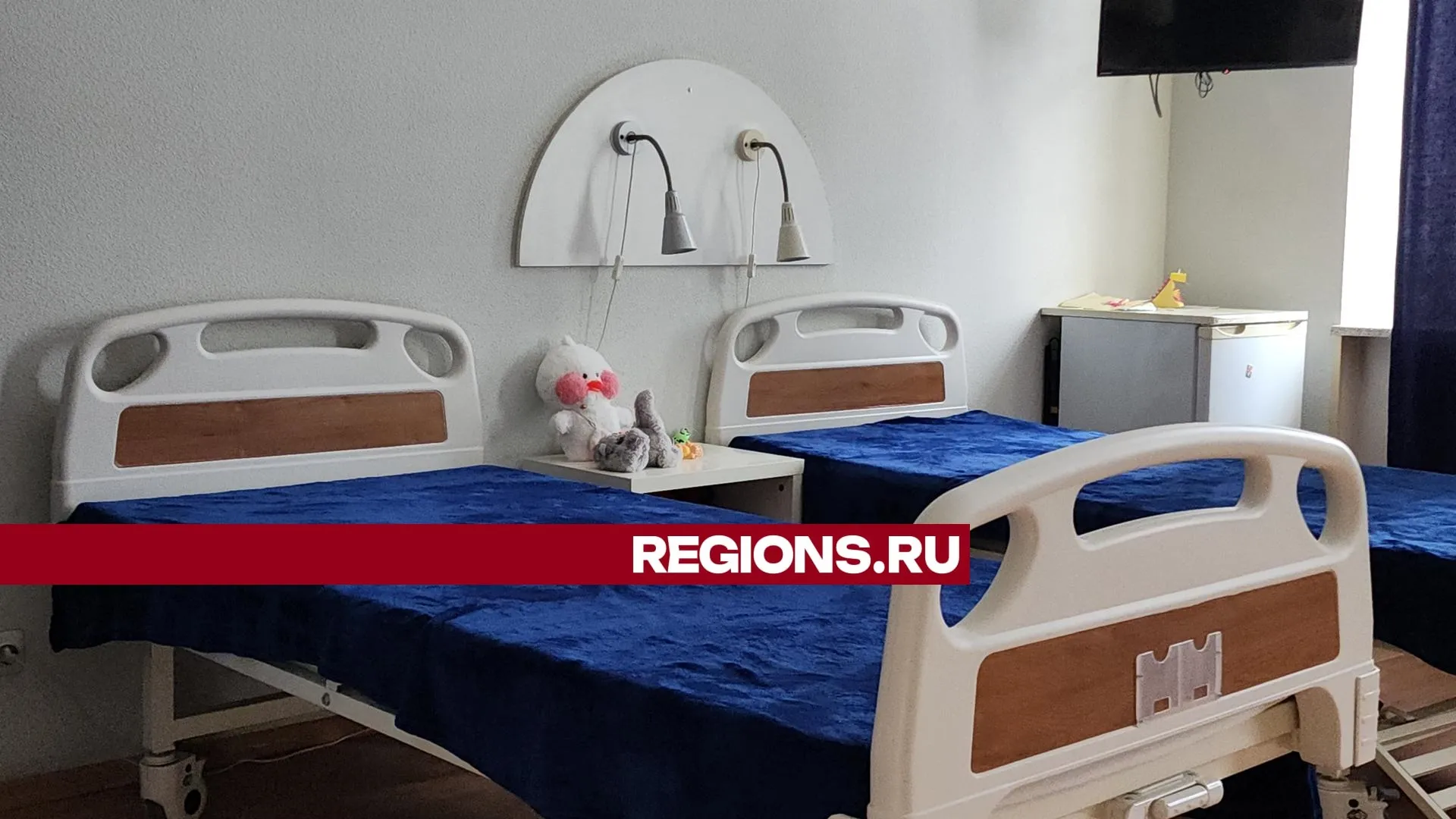 Фото: Нина Басистая