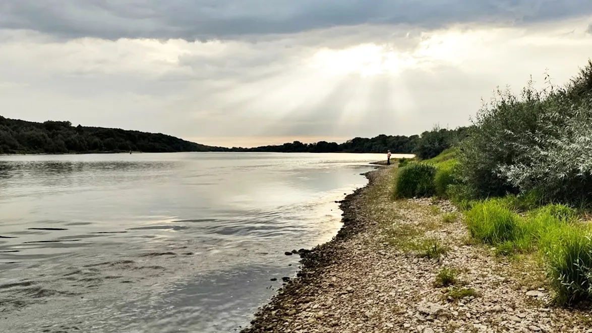 Фото: REGIONS/Алексей Селиверстов