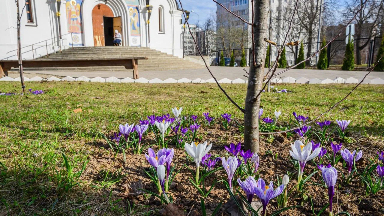 медиасток.рф