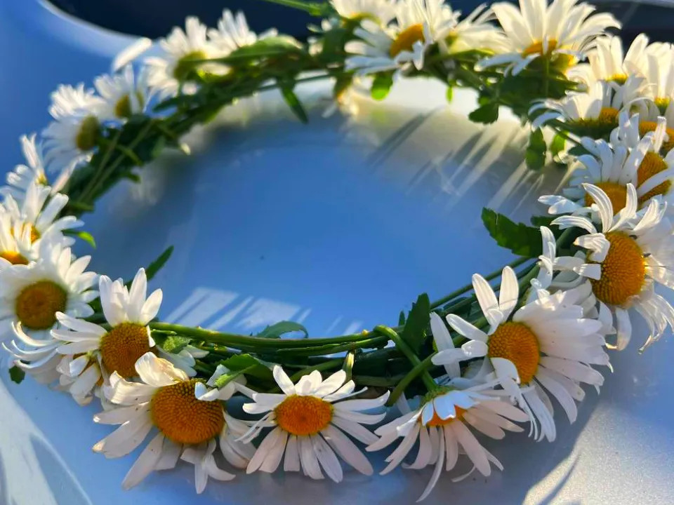 Фото: REGIONS/Татьяна Кордюкова