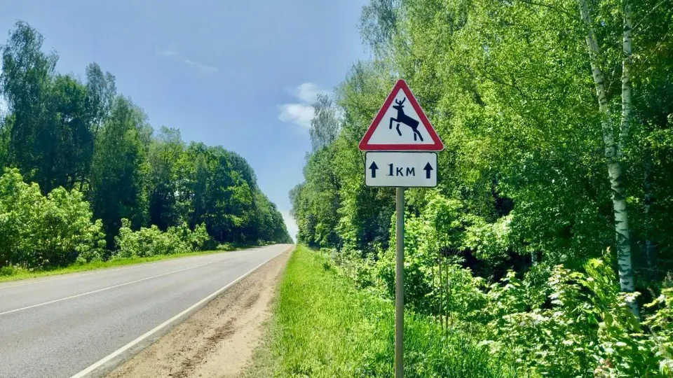 Фото: Министерство транспорта и дорожной инфраструктуры Московской области