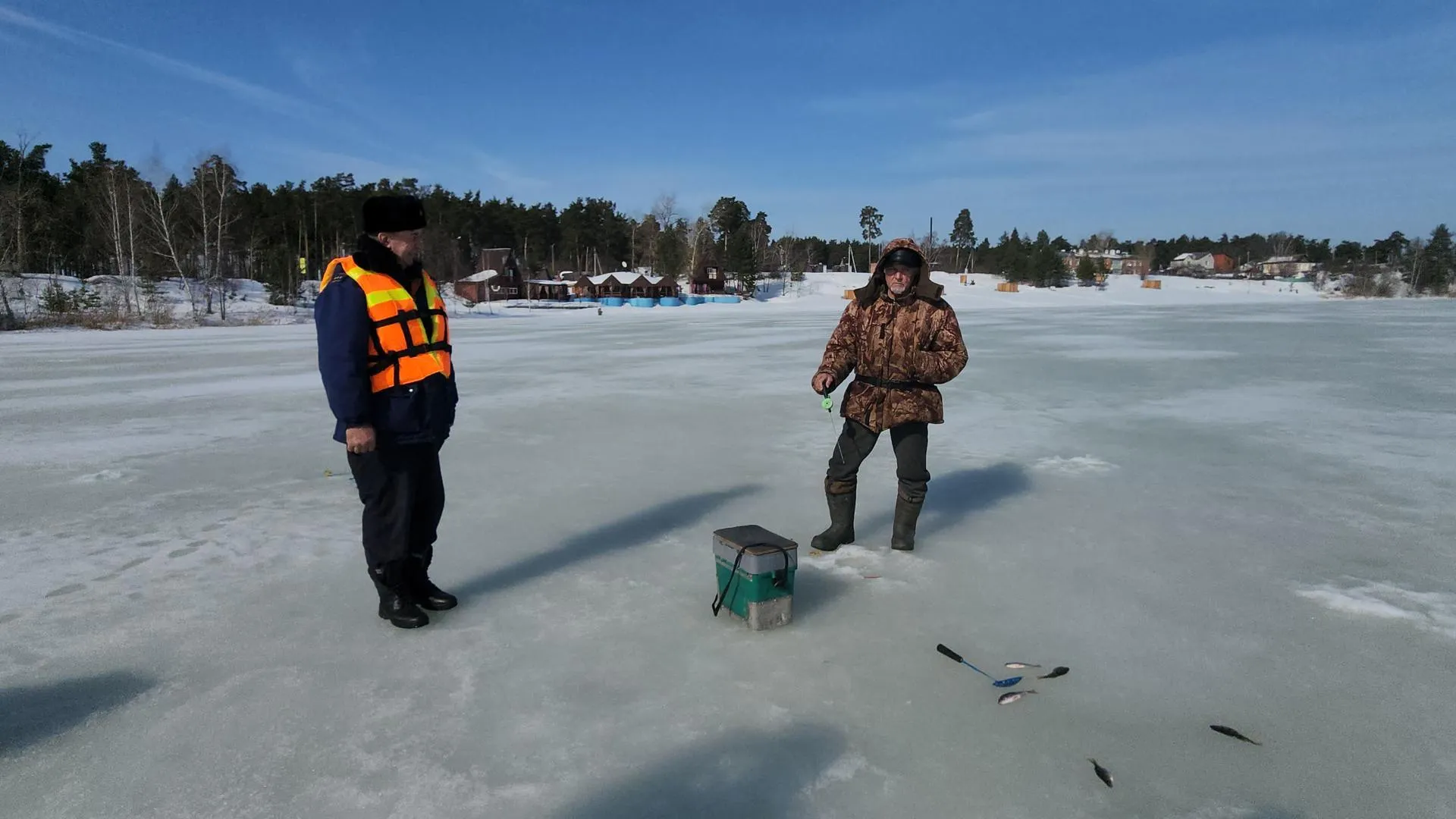 МедиаБанк Подмосковья/Ирина Моисеева