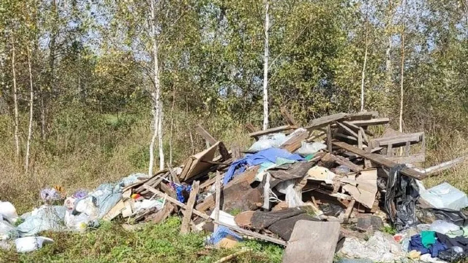 Фото: Министерство экологии и природопользования Московской области