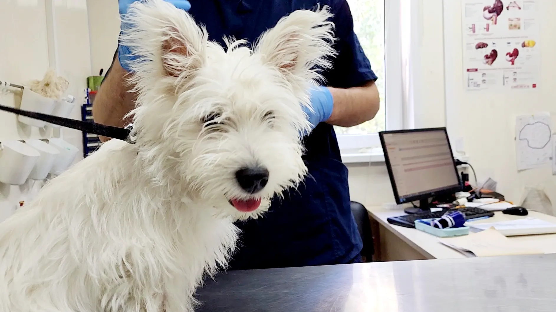 Никита Сморкалов