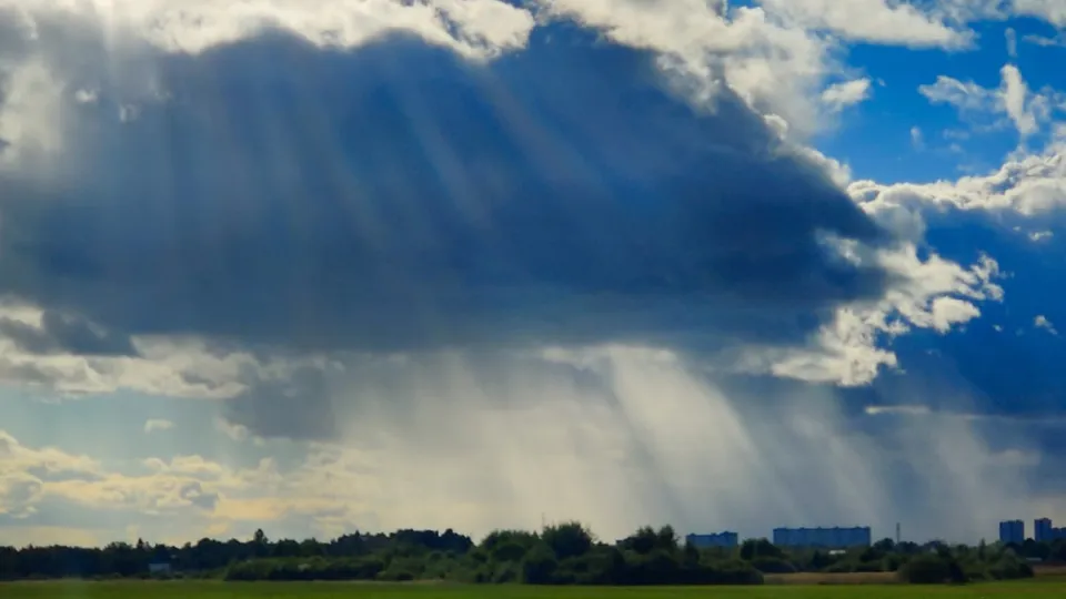 Фото: Антон Селянин