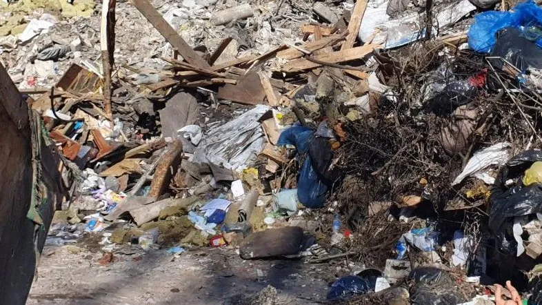 Фото Минэкологии МО.